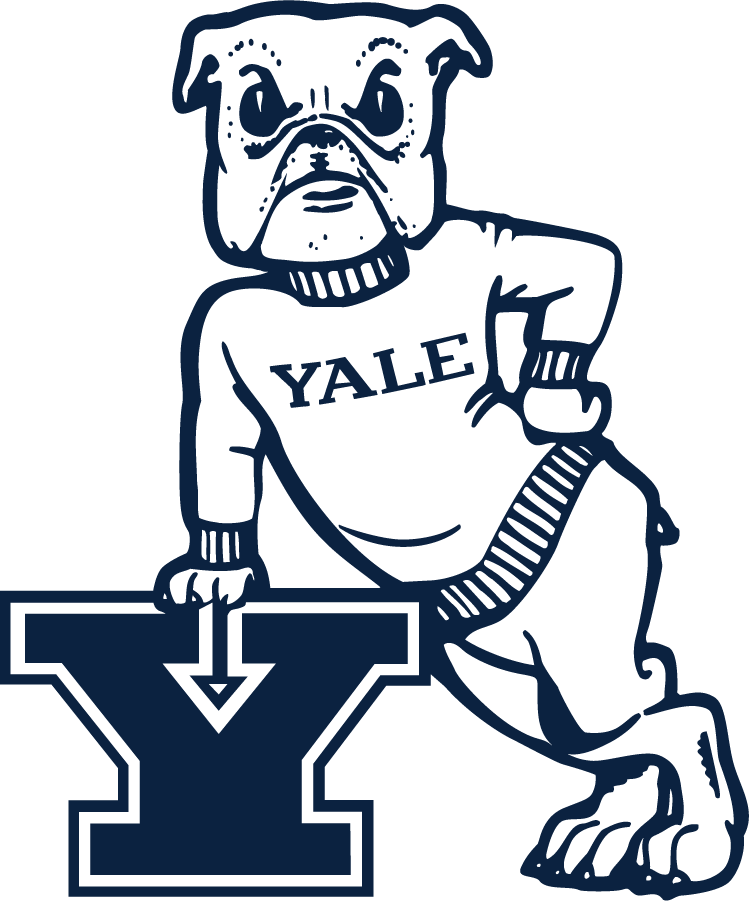 Yale Bulldogs 2019-Pres Secondary Logo t shirts iron on transfers...